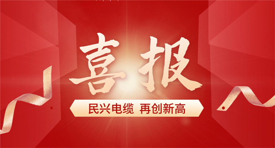 东莞唯一！民兴电缆入选广东省首席质量官质量变革创新典型案例