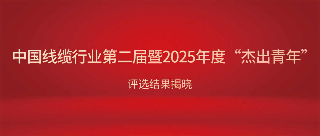 热烈祝贺民兴电缆总经理杨彦荣获中国线缆行业“杰出青年”！
